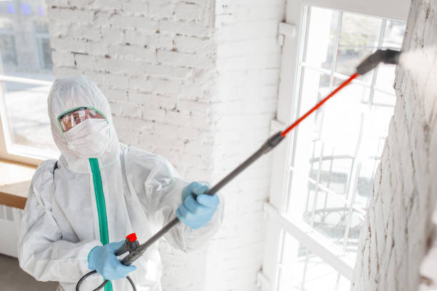 Best Mold Removal for HVAC Installations  in Maple Park, IL