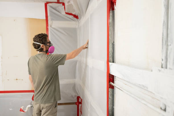 Best Mold Damage Restoration  in Maple Park, IL